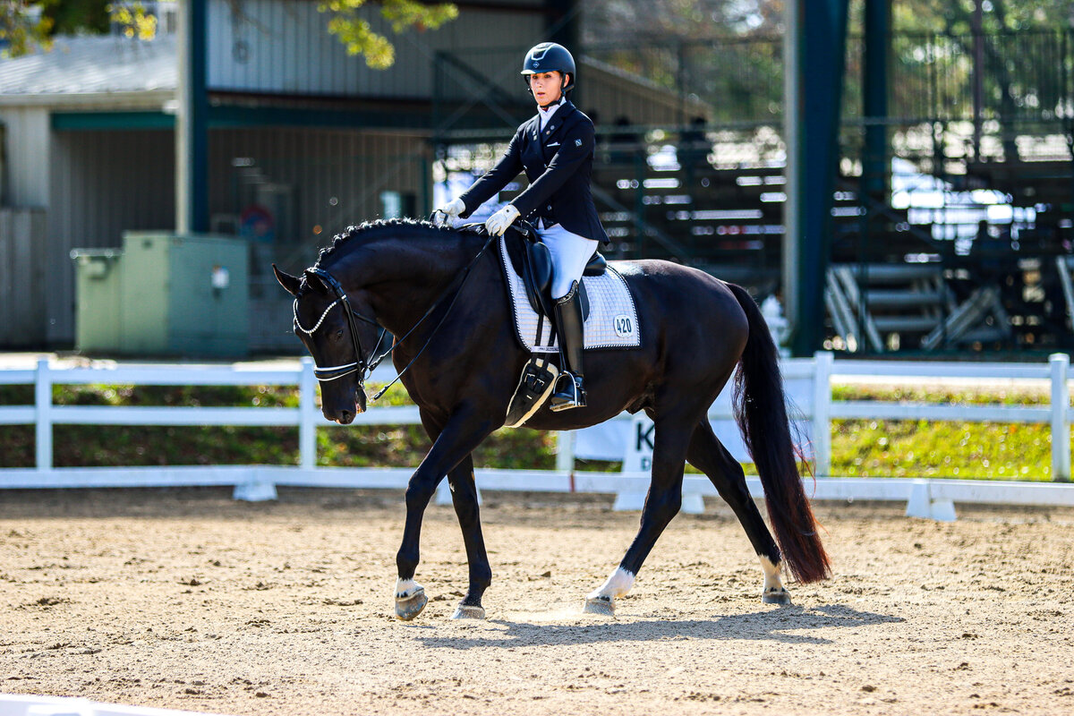 A black horse during a free walk at a dressage show in Conyers, GA.