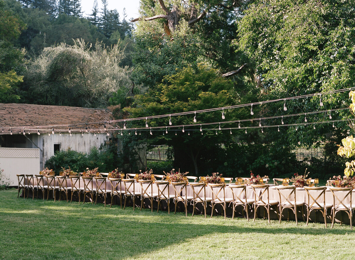 DT-2025-Celine & Gabe Highlights-246