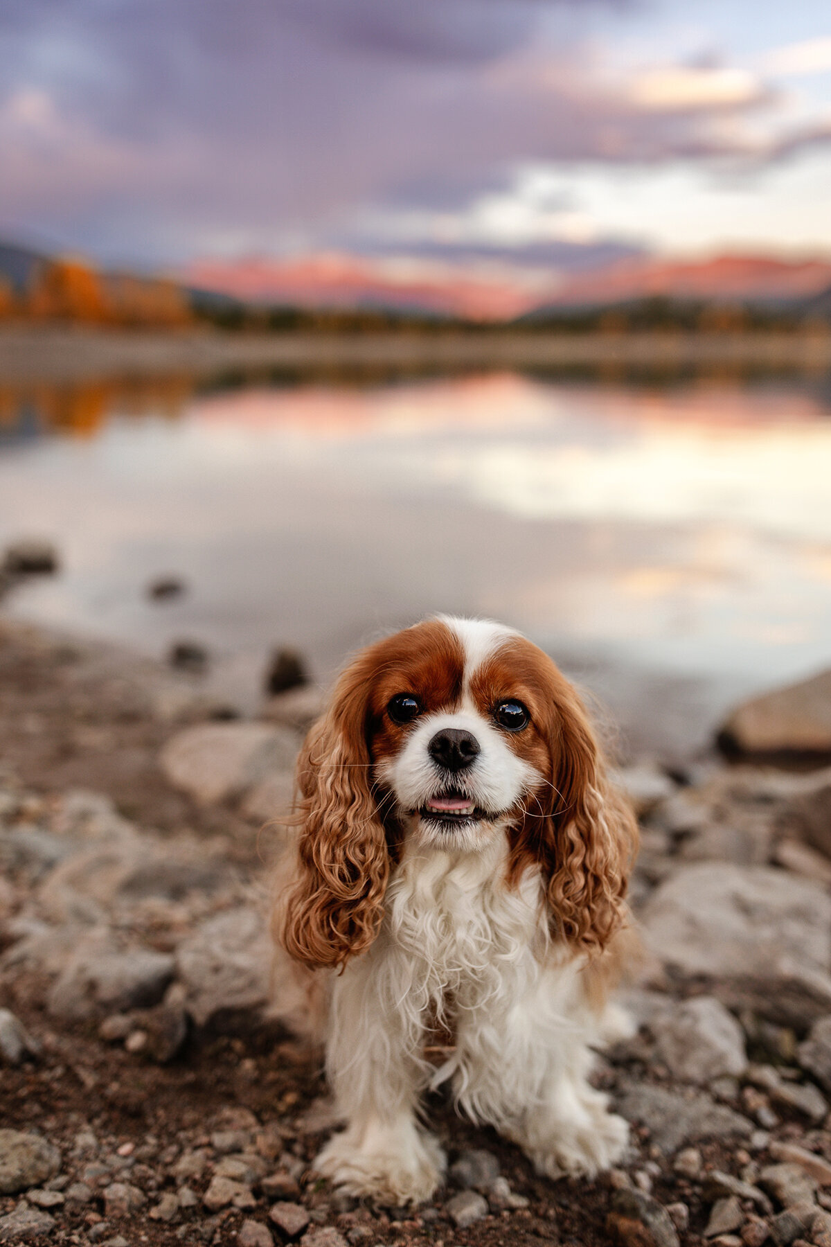 134_DobbsFamily_Final