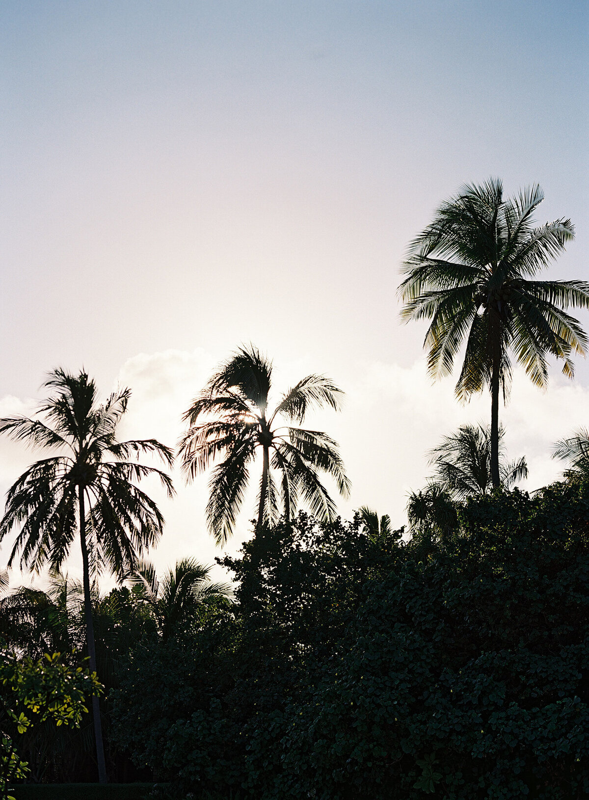 EDW-Destination wedding in Hawaii