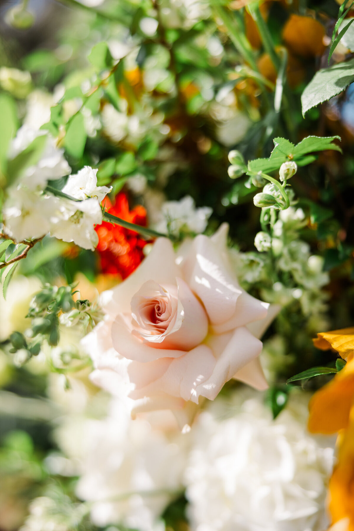 Adams Estate Wedding-848