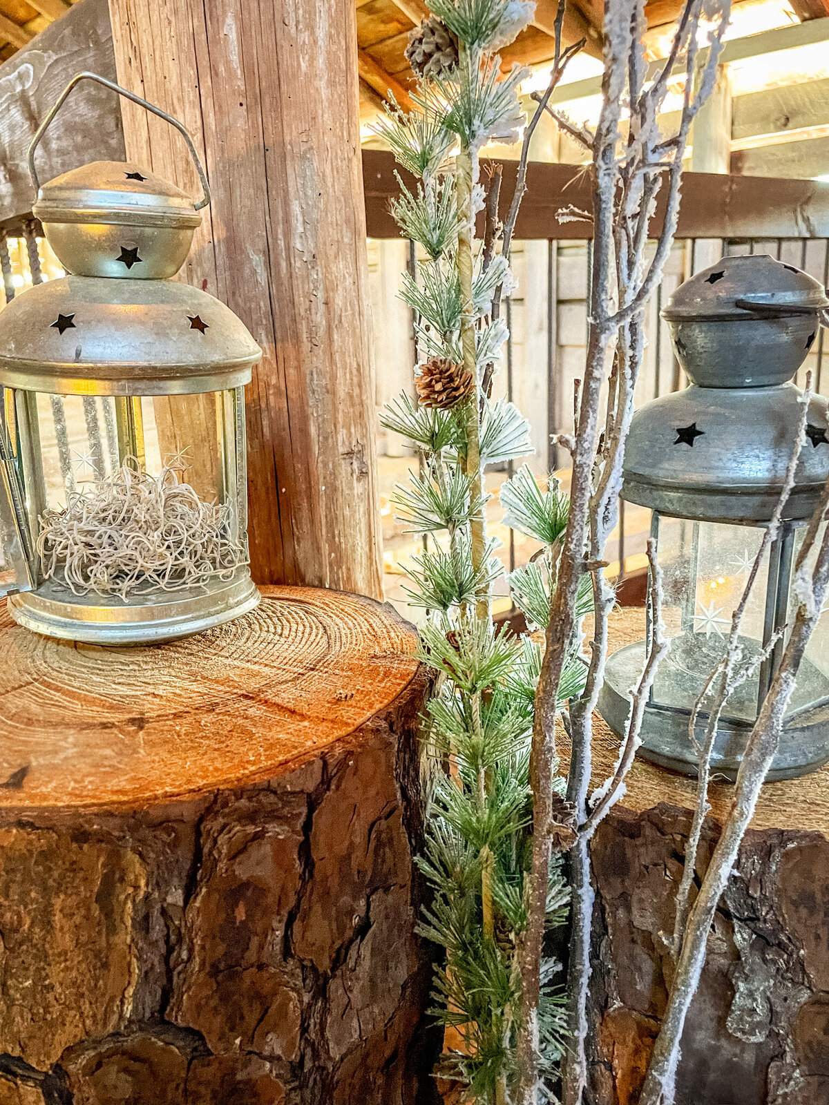 Mountain-Laurel-Farm-Christmas-Mini-Session-Photo-Venue231