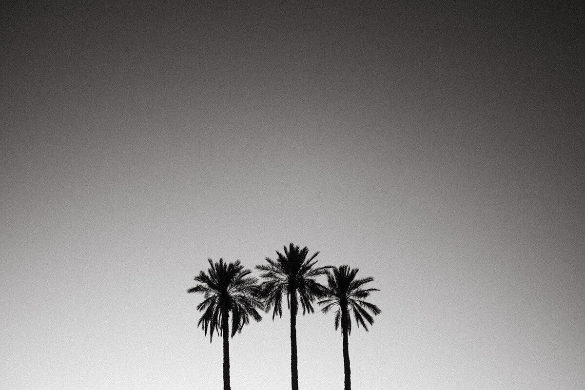 Morocco-dallinhassard-3939