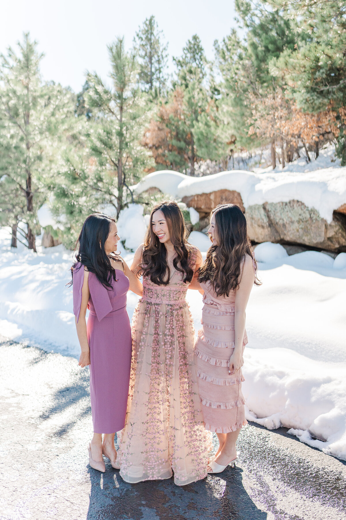 The Broadmoor Hotel Winter Wedding Colorado Springs Romantic Engagement Elena Spraguer Photography 0047