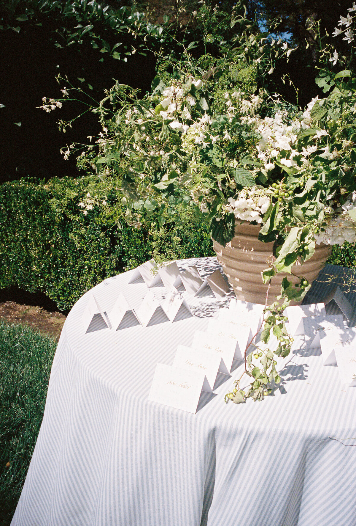 napa_styled_shoot_brooke_nalani_film30