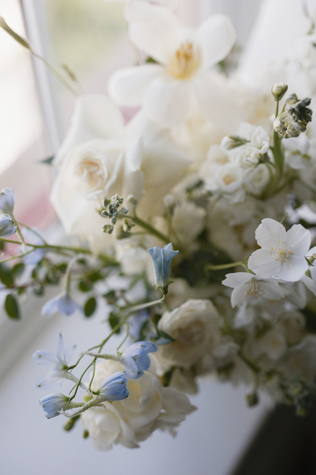 Meghan-Ethan-Faves-16