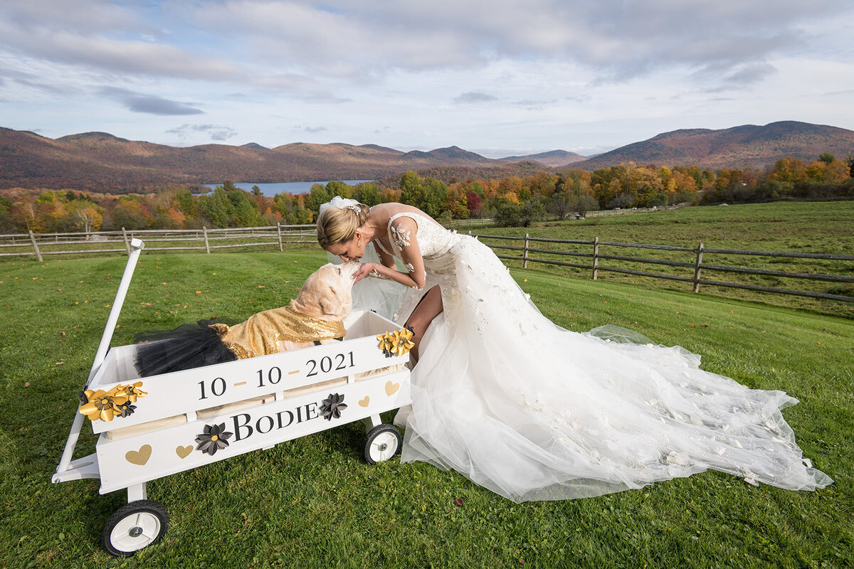 bride-dog-puppy-love-wedding-vermont-fall