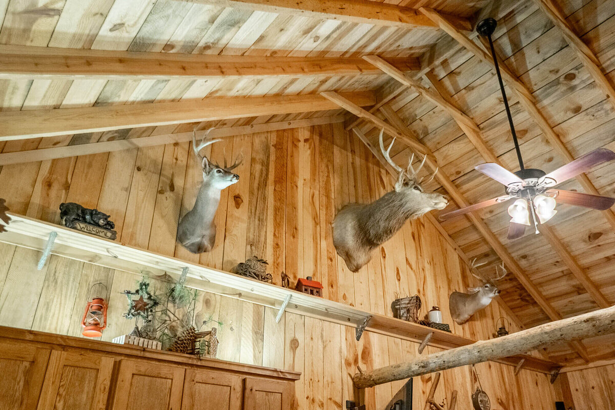 wolf-pen-gap-cabin-timber-wolf-20
