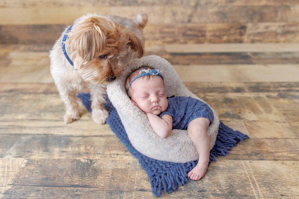 RO017Newborn047