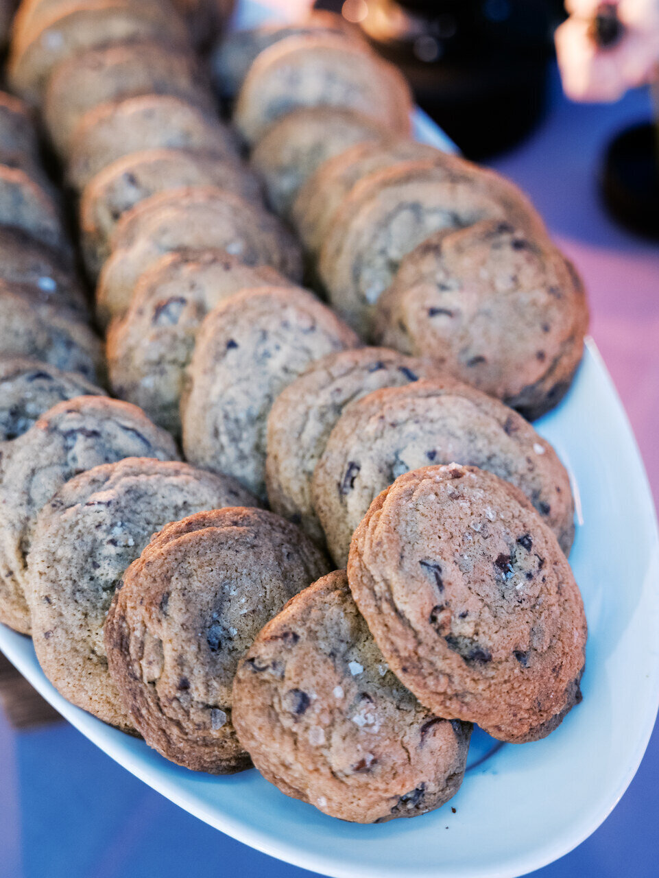 leila-brewster-photography-2104