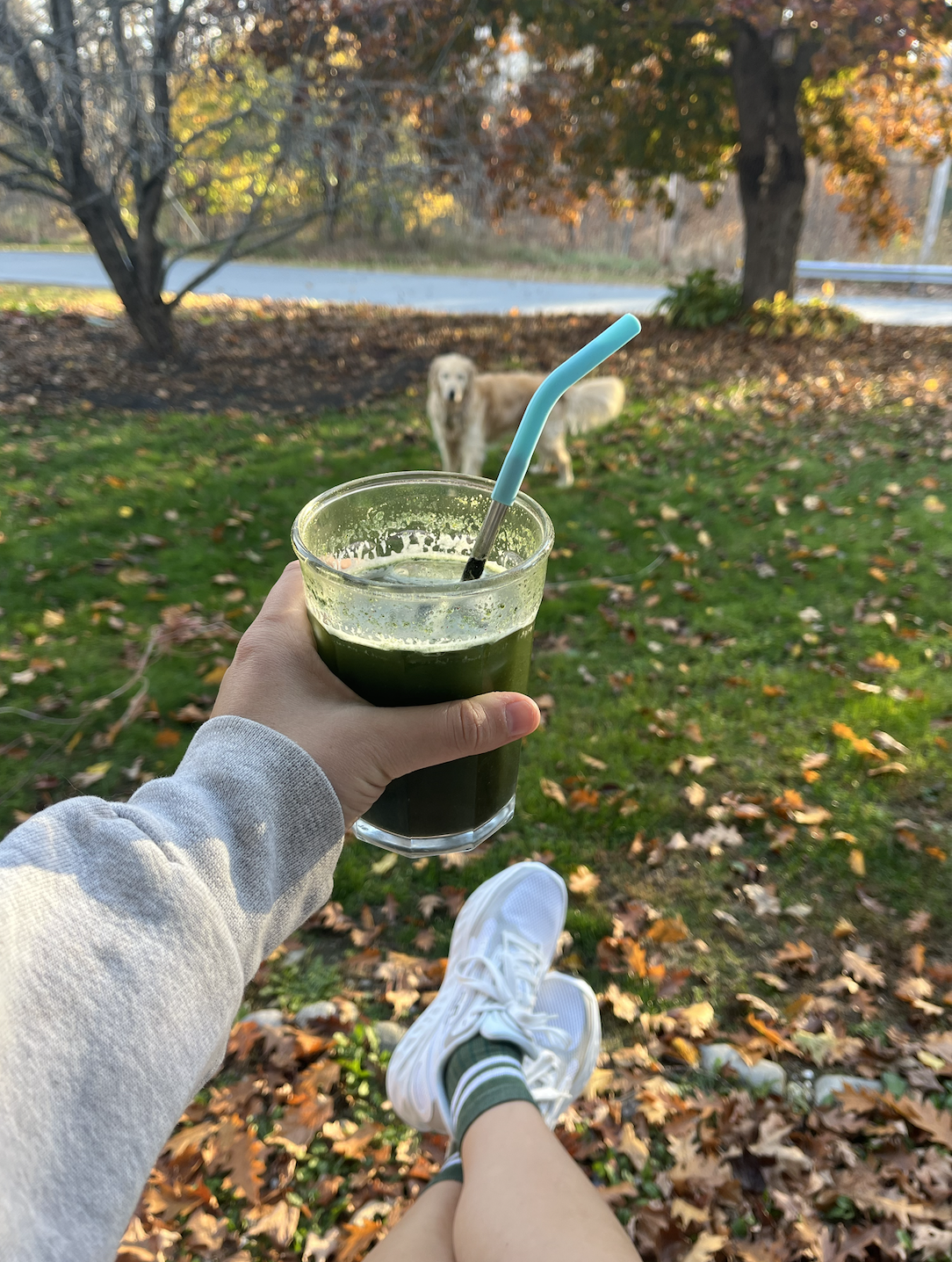 Screenshot 2024-11-06 at 12.21.24 PM