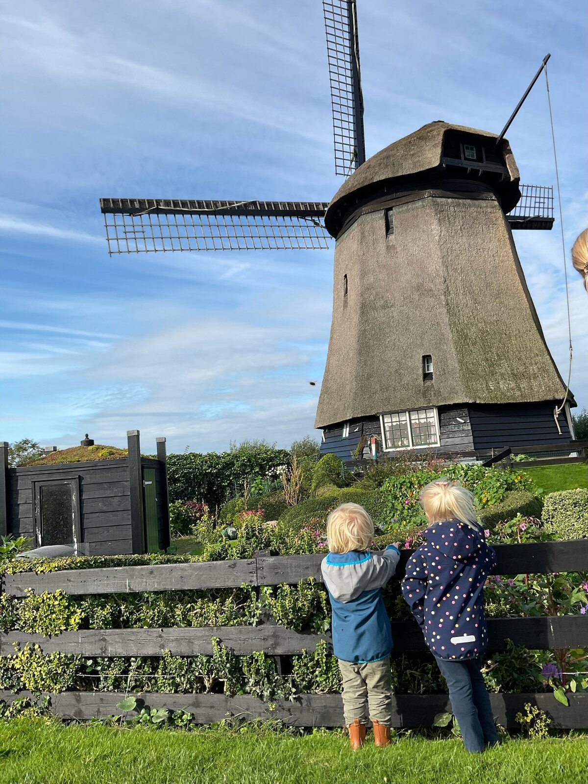 molen-bijboerbas