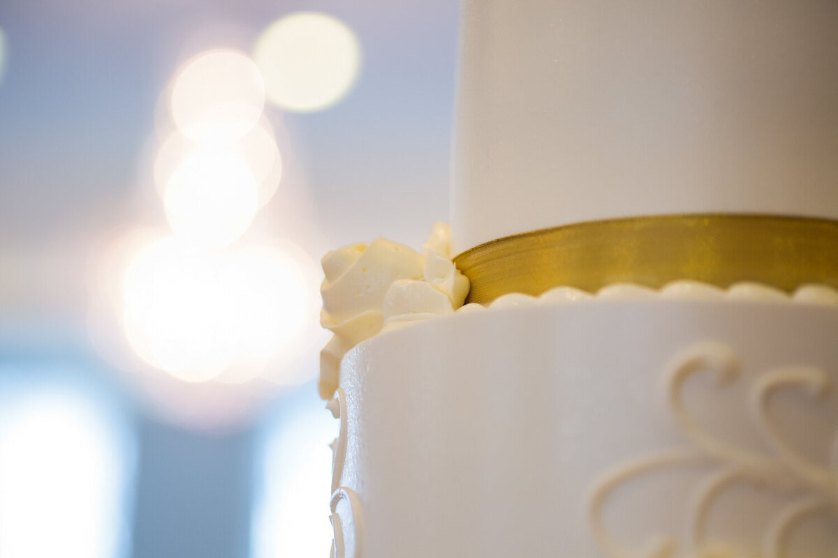 Chicago Wedding Photographer-TWA-Photographic-Artists-Capstone Occasions_Strickland_Augustyn_MS_JR-1143