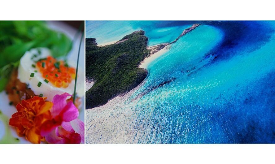 9_0_117_1Lei_4