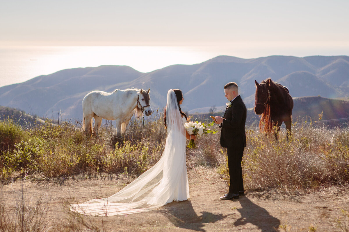 Malibu elopement with horses