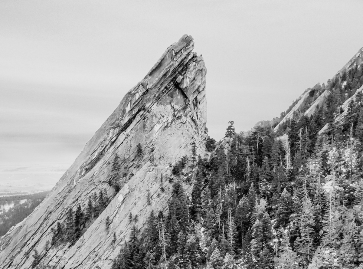 A striking black-and-white view of a steep, jagged rock formation rising above a dense forest of evergreen trees.