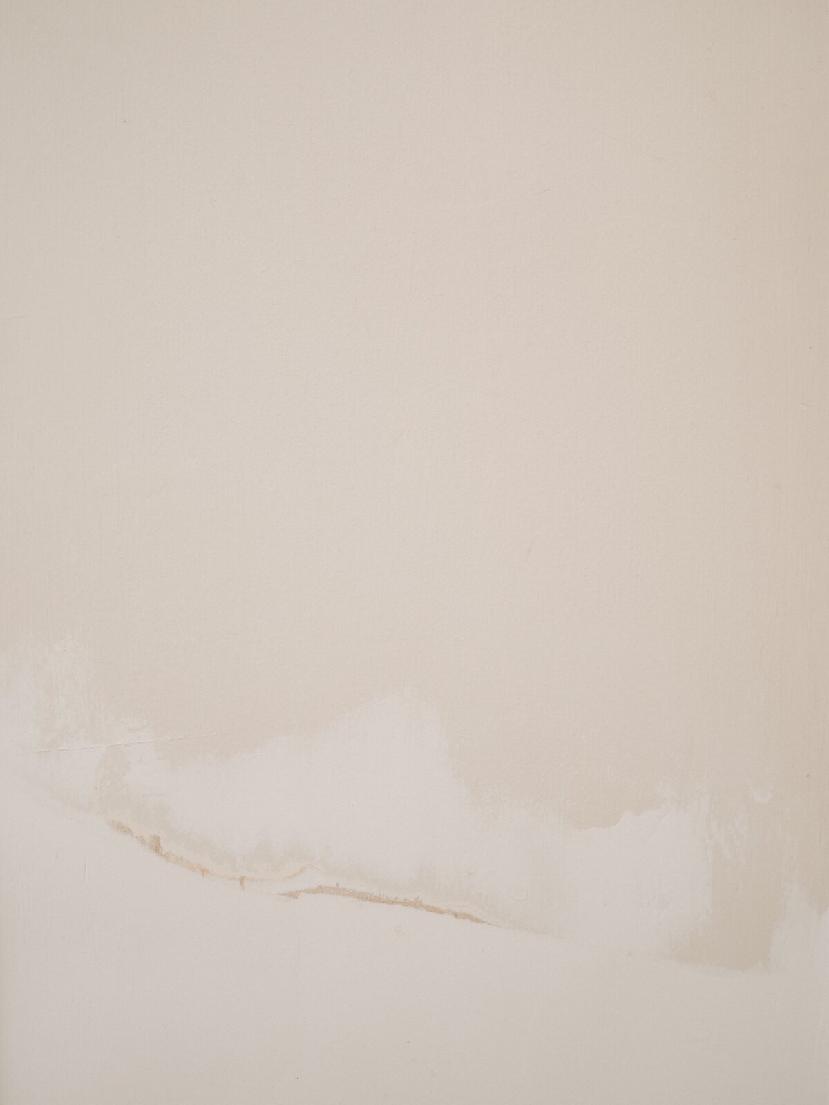 annie-spratt-tmoFNI1ZEwA-unsplash