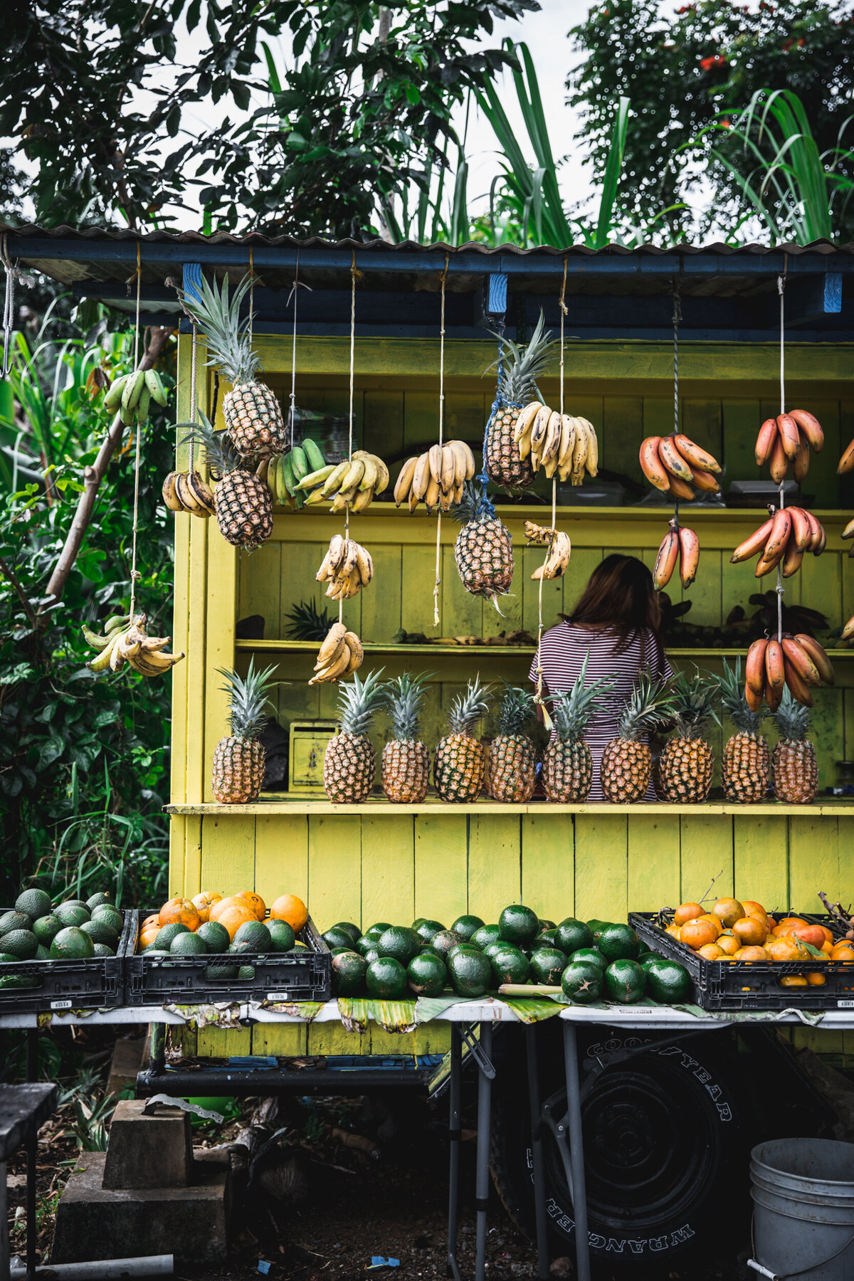 Hawaii by Eva Kosmas Flores-49