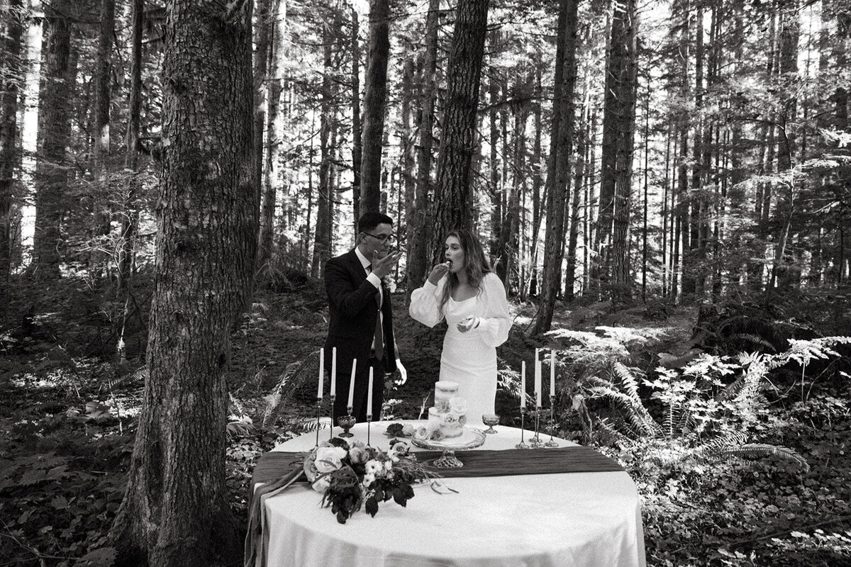 MtRainierSmallWedding-DallinHazard-541