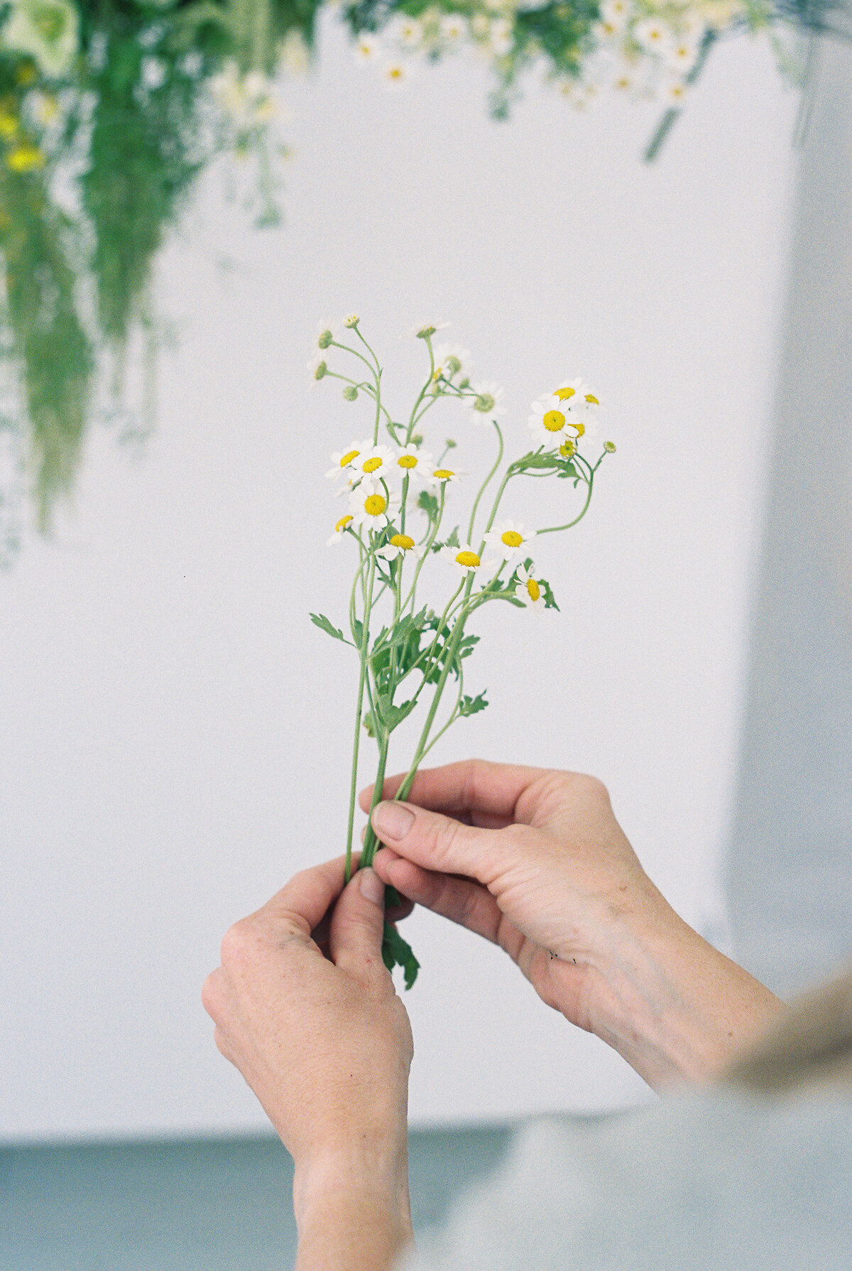 250427 Epsilon Floral_film-18