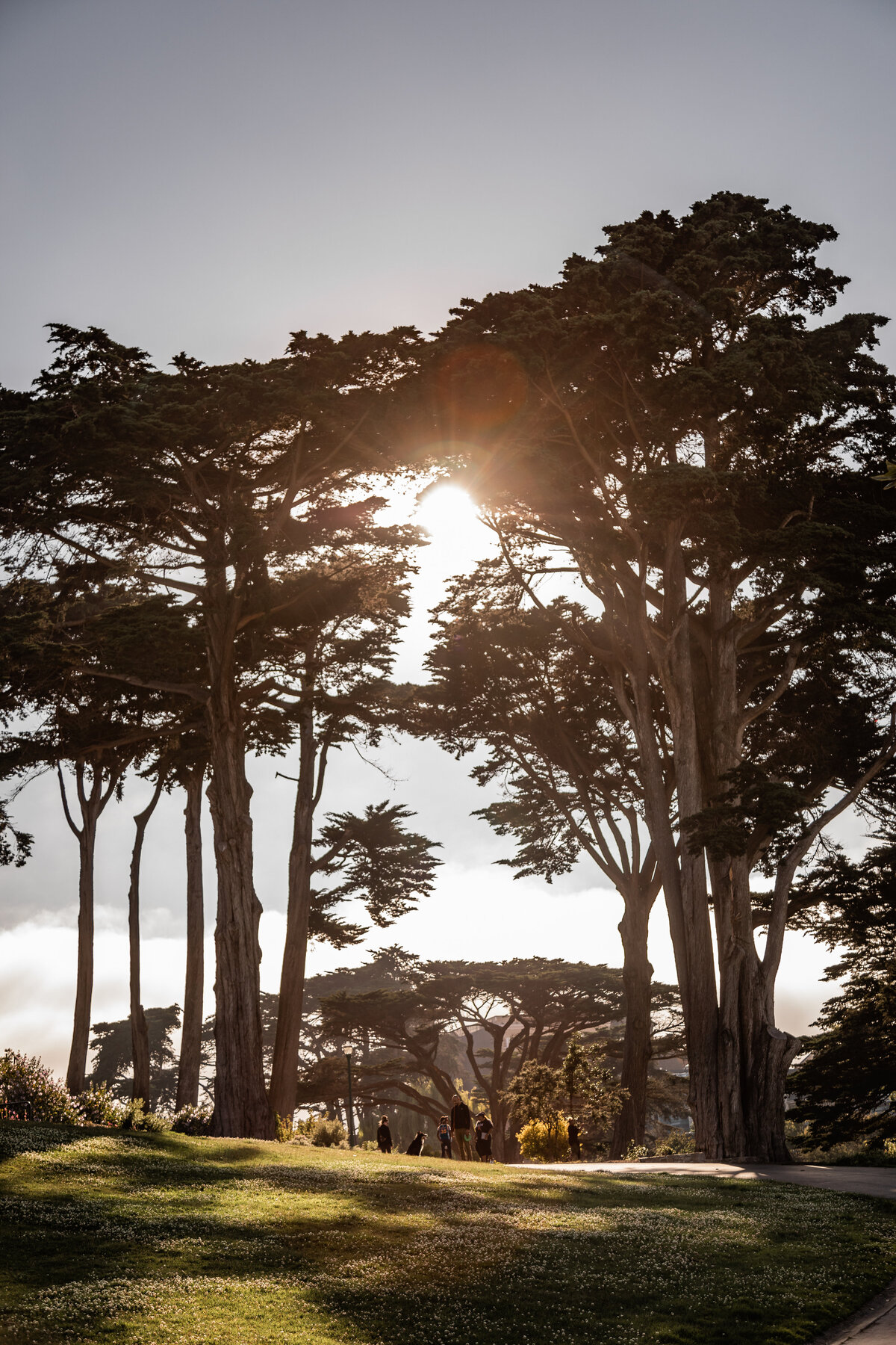 201907SanFranciscoDay5-25