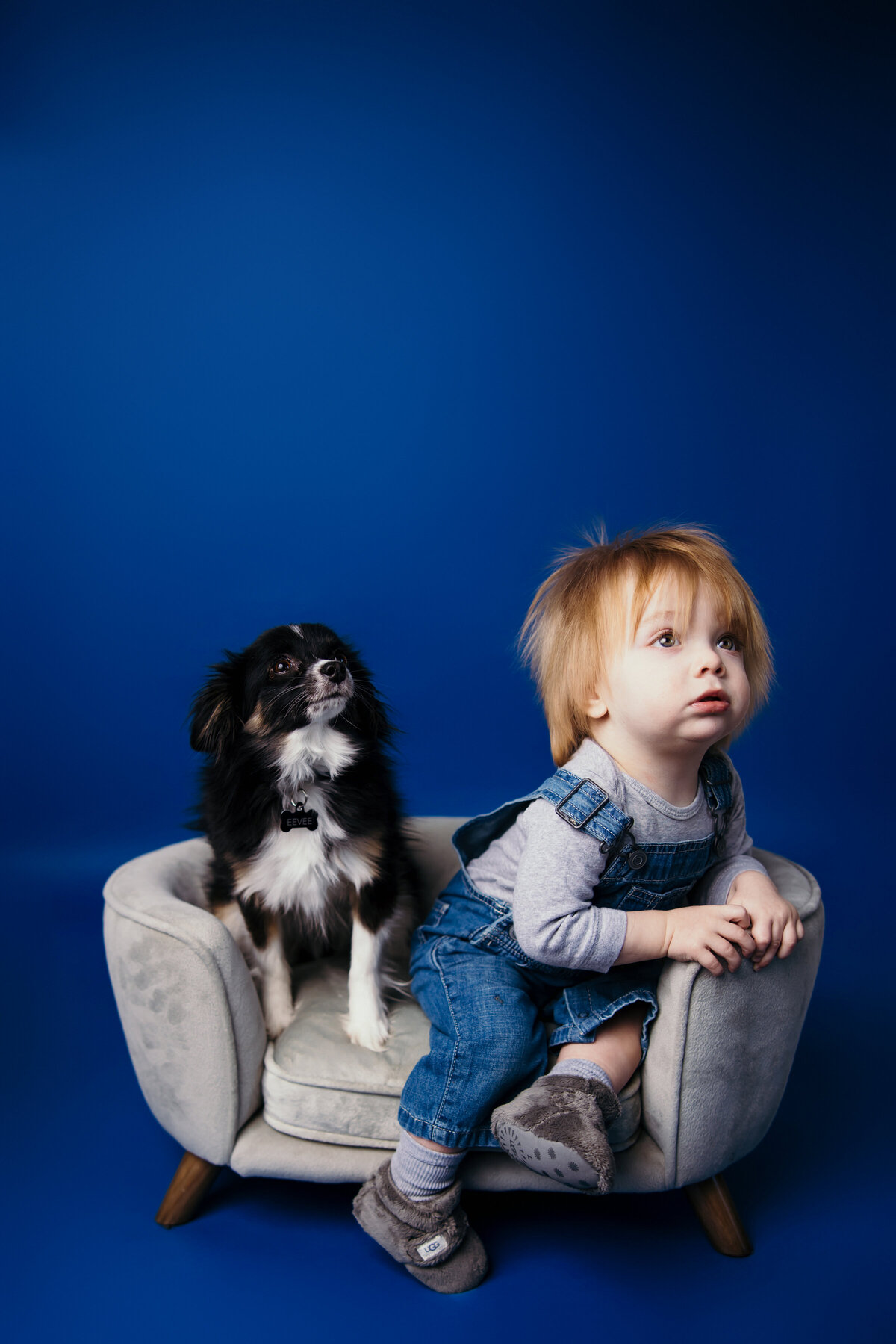 Jessica-Dogs-004