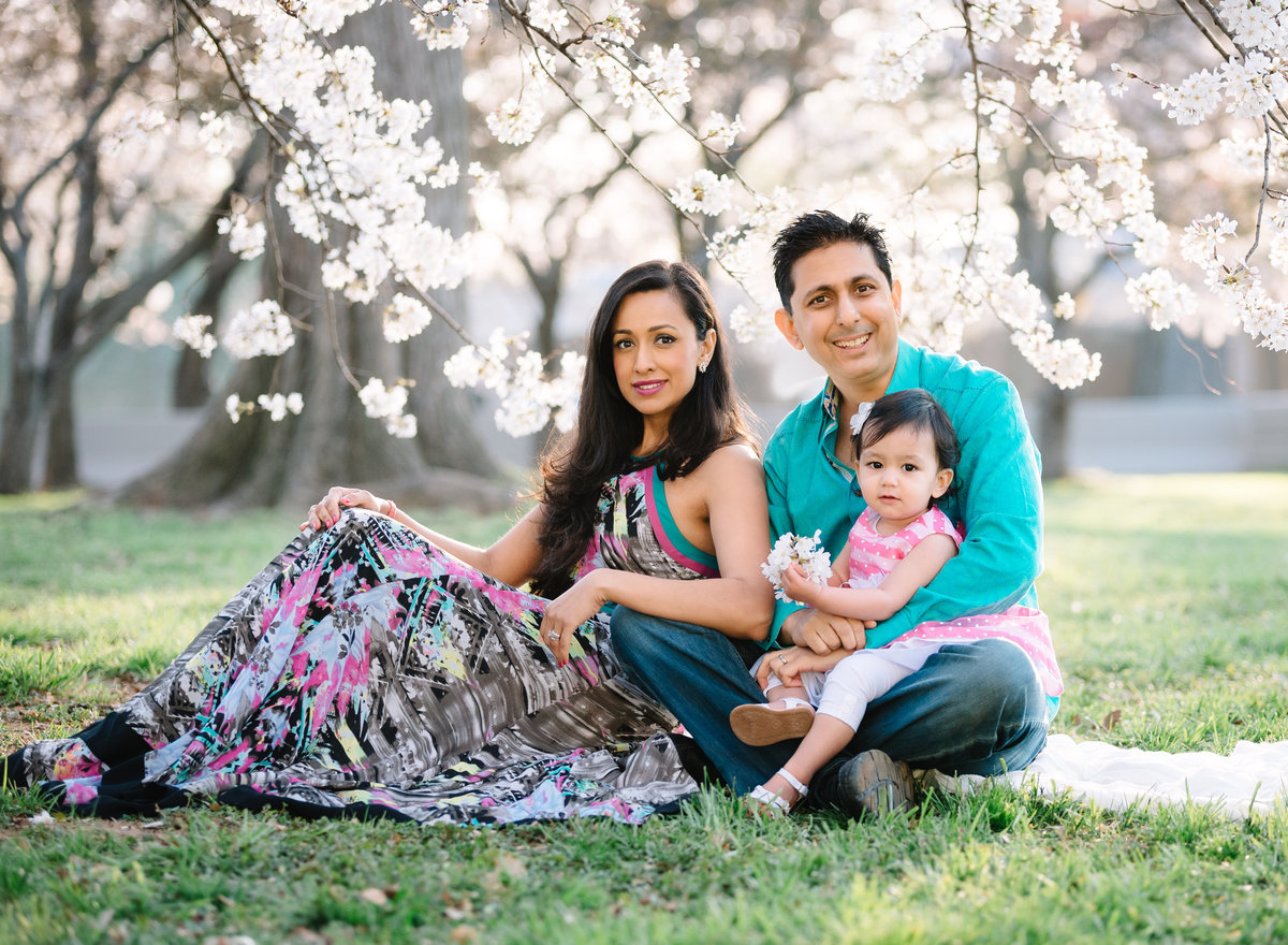 Washington DC family portraits under cherry blossoms