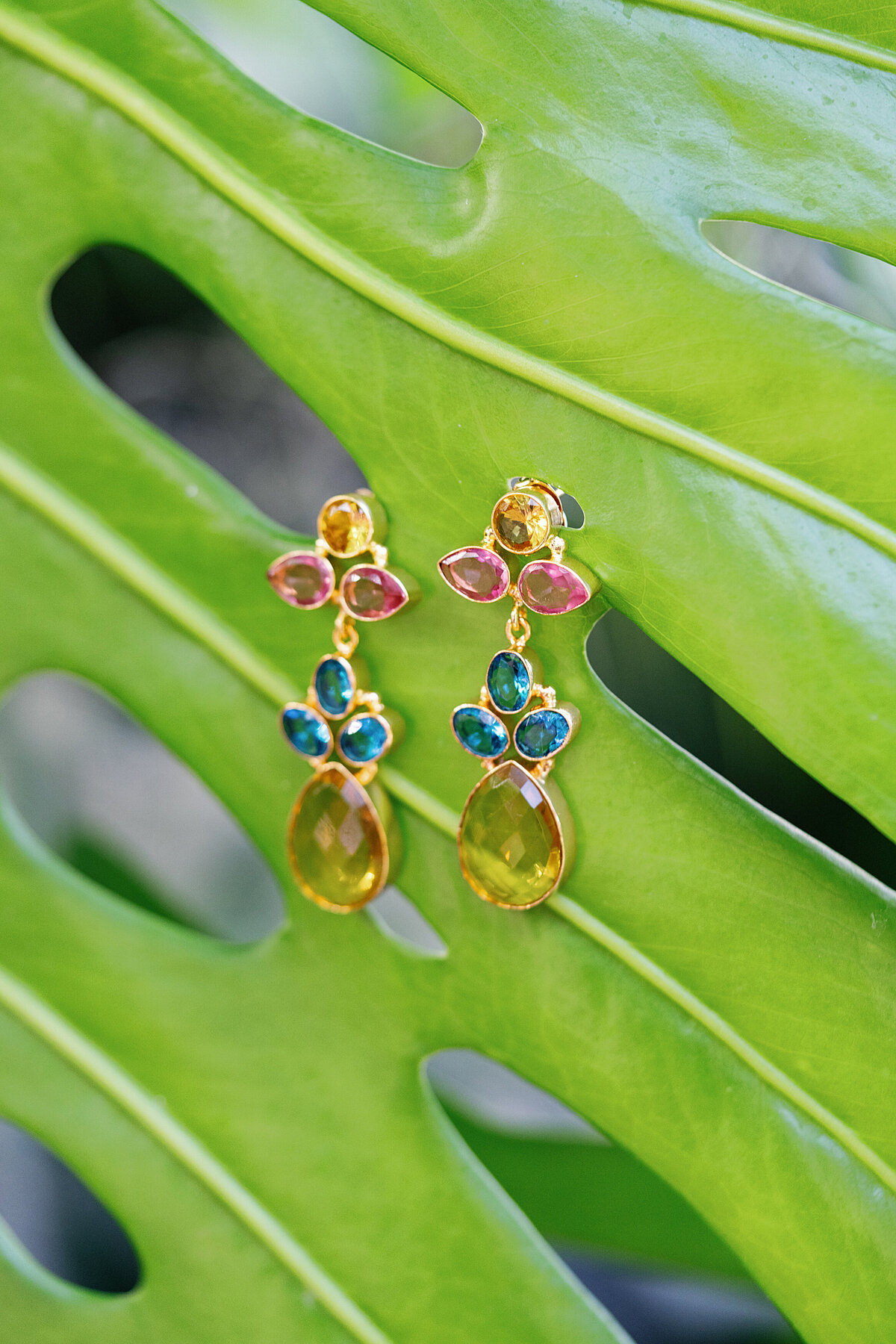 RachelMayPhotography-12624-1