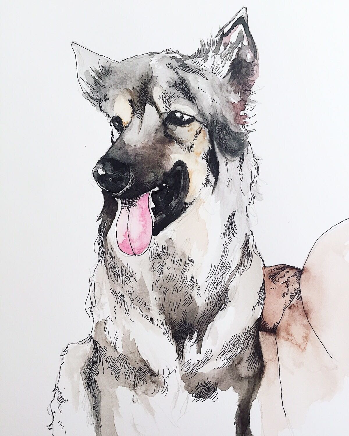 Custom Pet Portraits | Esmé Weijun Wang