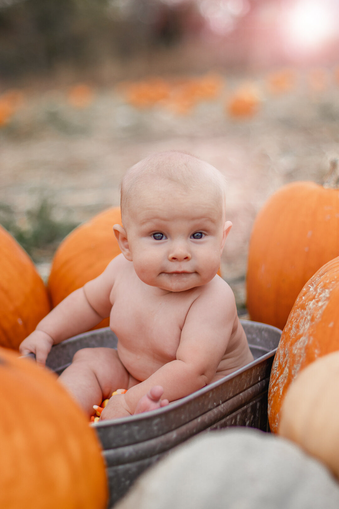reneeesphotographyanddesigns_fall-family-photosession_new-river-valley_blue-ridge-mountains_SM-faves--2