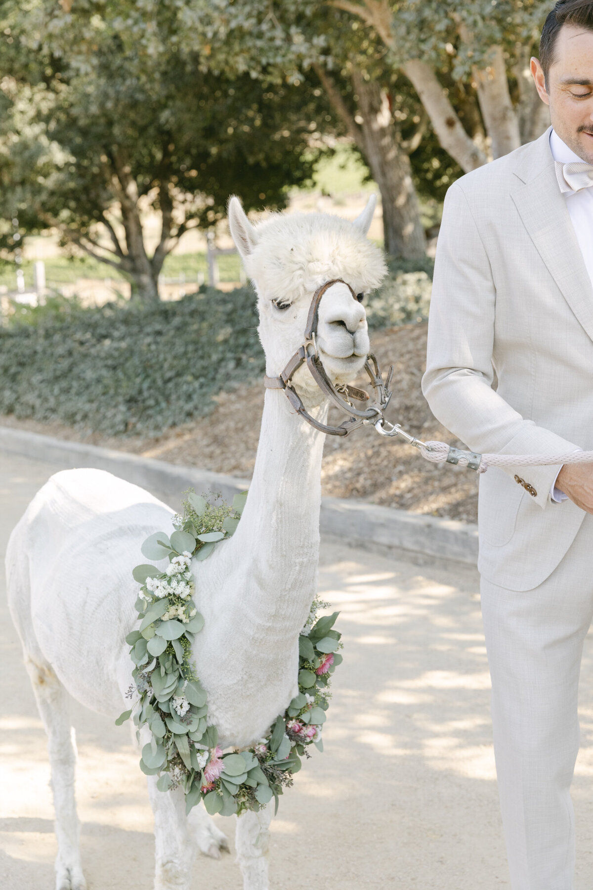 PERRUCCIPHOTO_CARMEL_VALLEY_RANCH_WEDDING_139