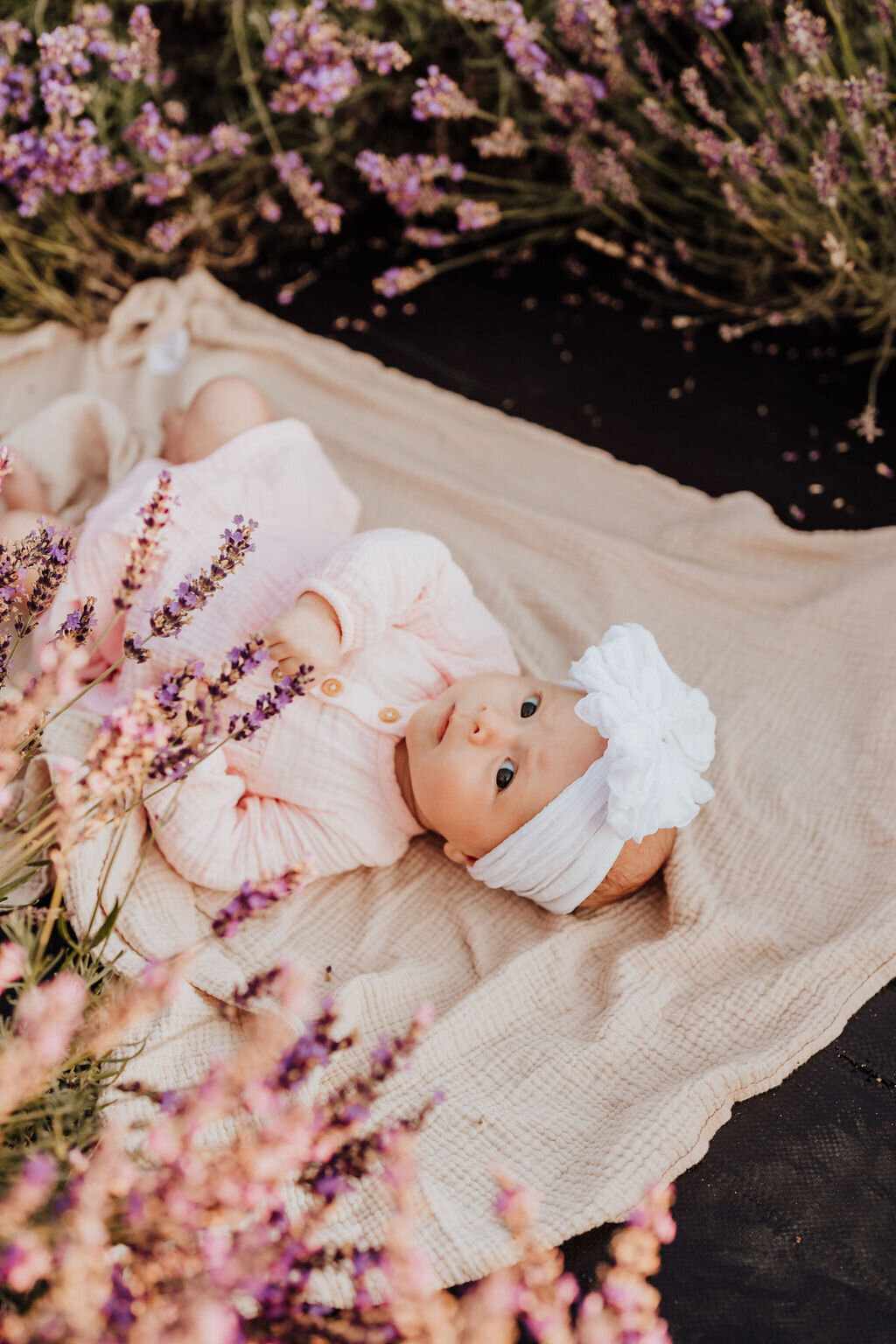 traverse city photographers18