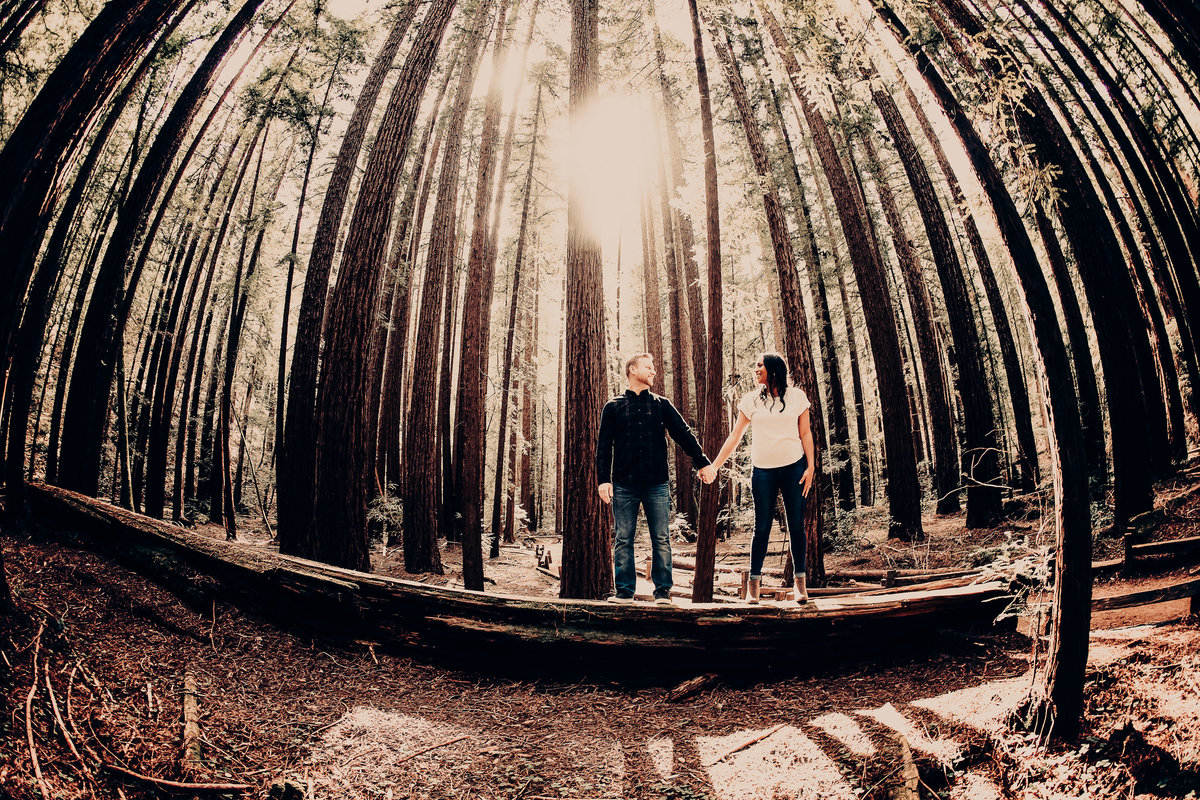 engagement shoot Arm strong Forest