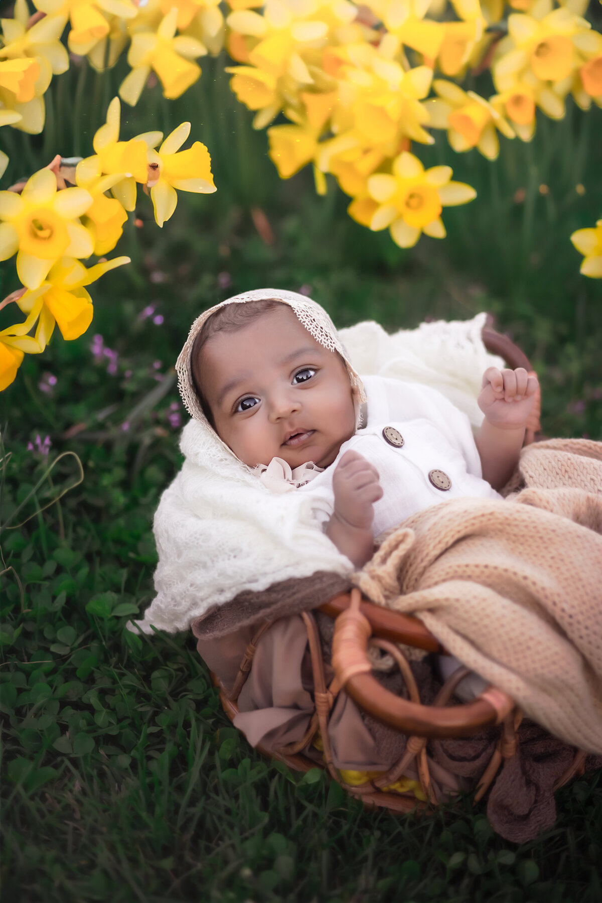 Raleigh-family-photographer-18