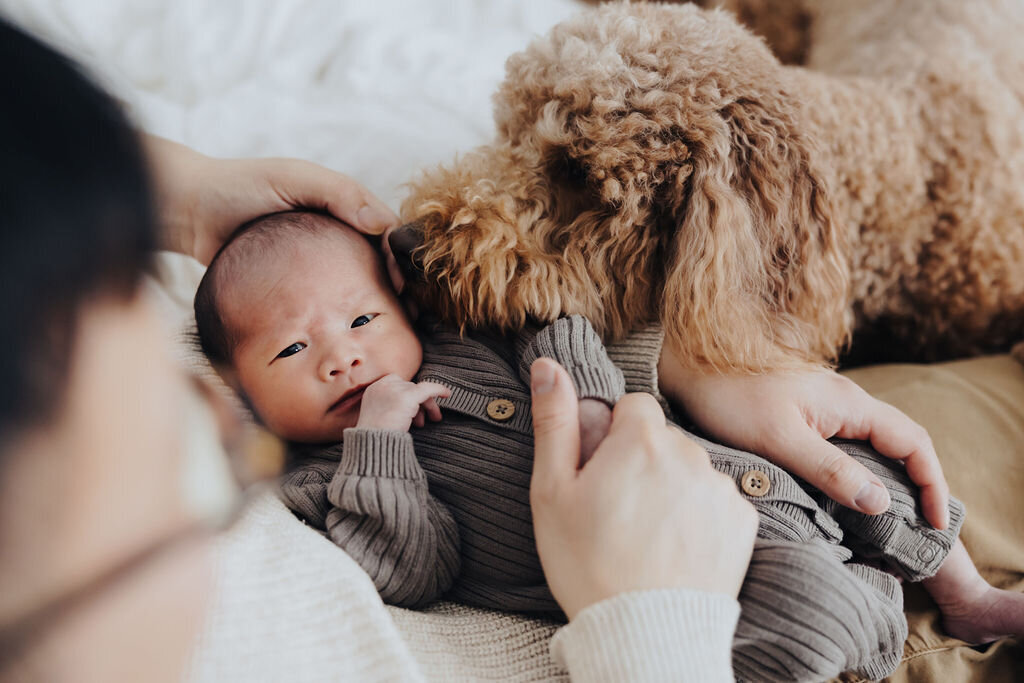 Ottawa Newborn Newborn Photos - Maiora Studios - 3