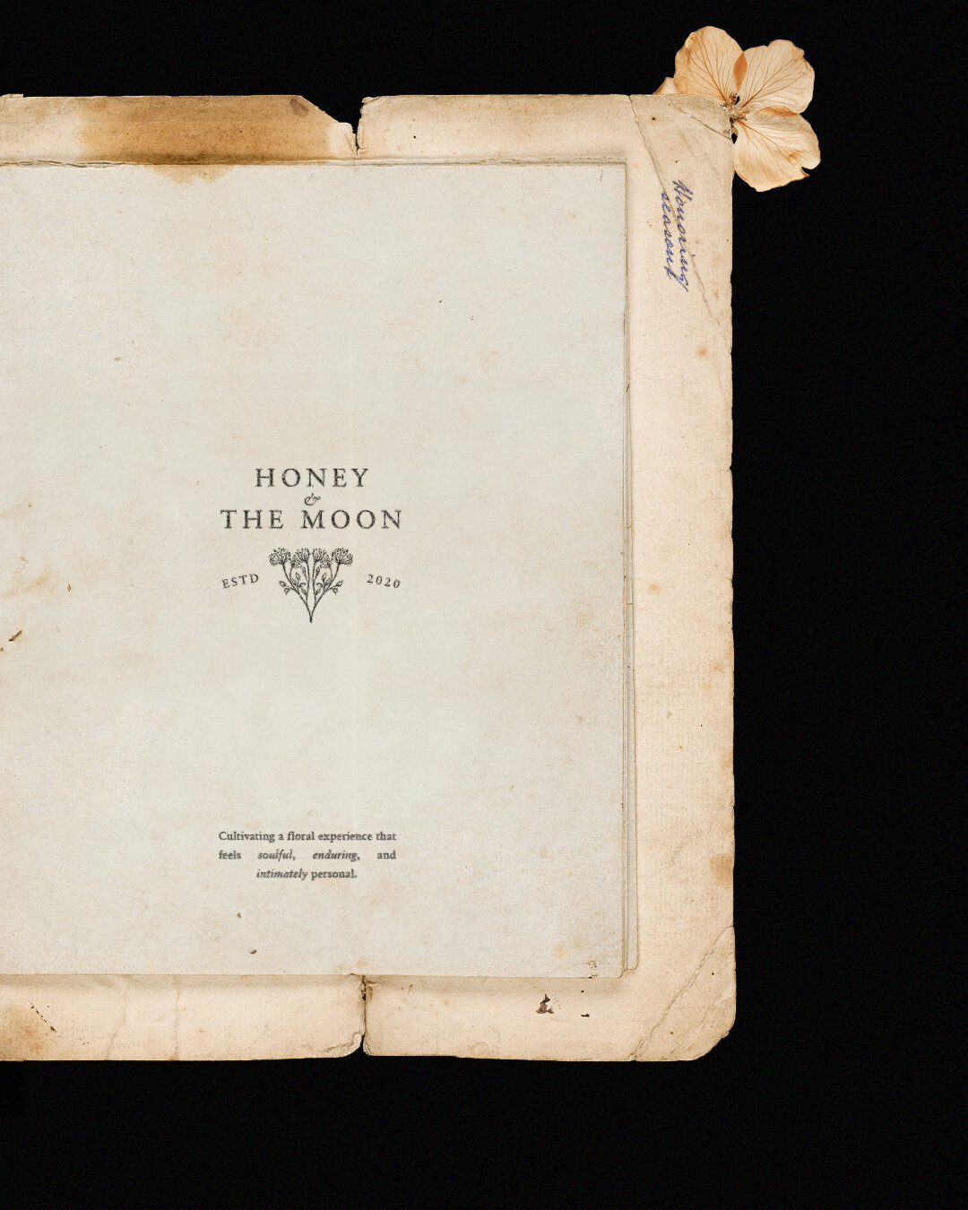 Honey and the Moon - 4