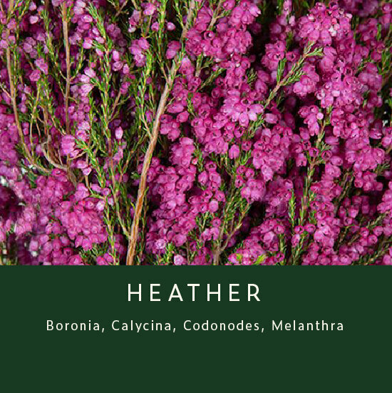Heather