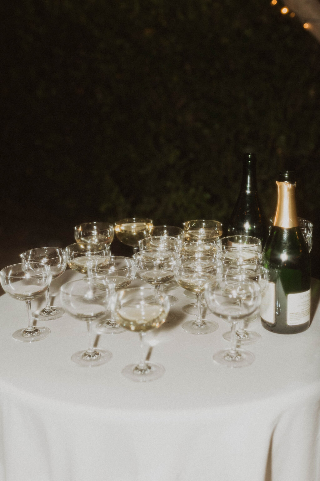 Houston-Texas-wedding-photographer-1517
