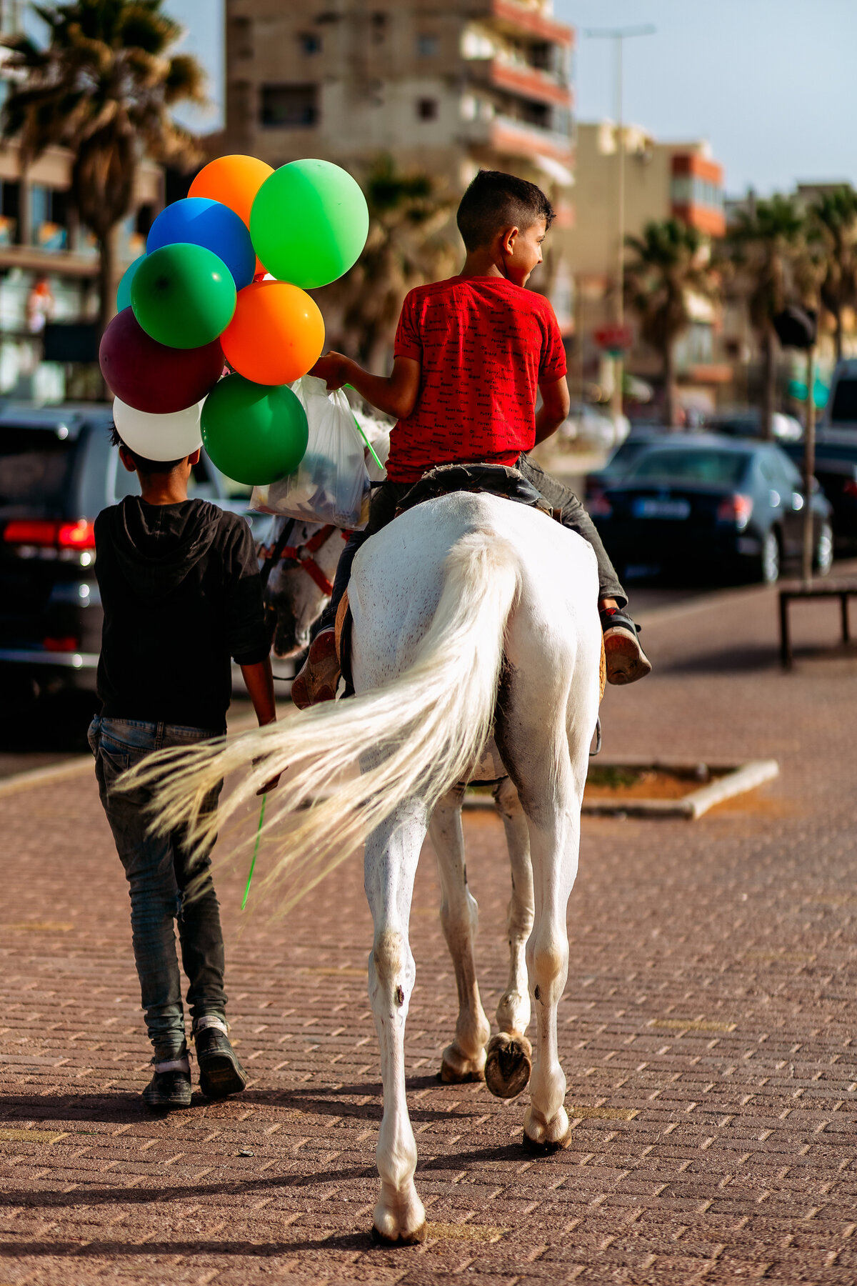 The Boy, the Horse, and the Balloons (20x30cm)