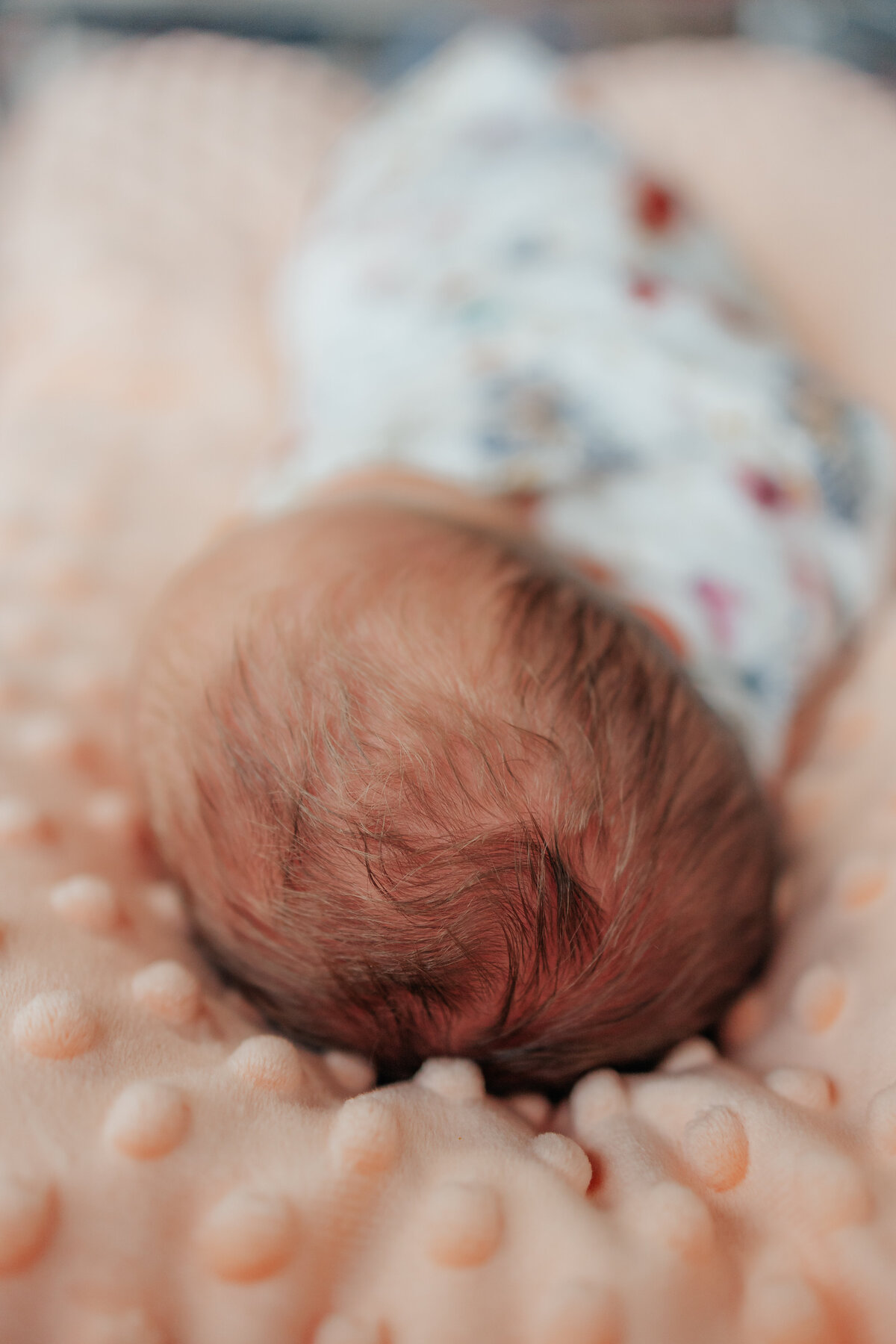 CindyG.Photography-1431