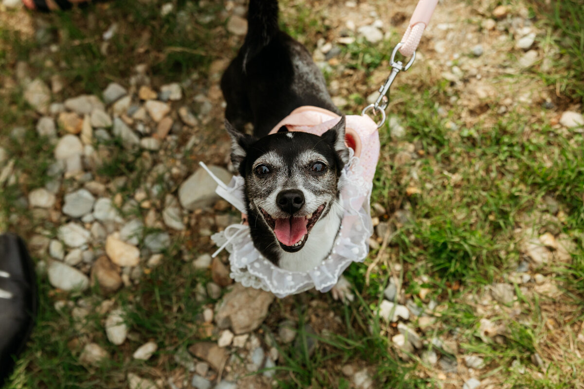 Ebony&Cameron-JBCreative-267