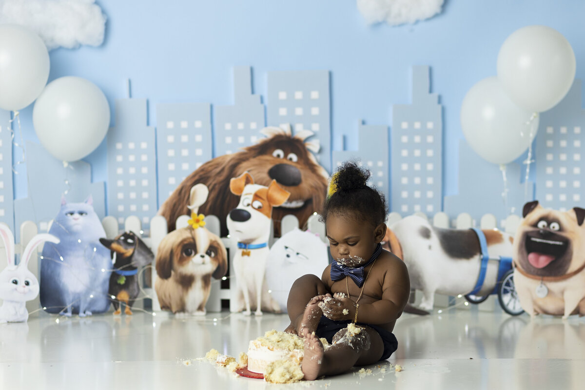Hampton Georgia cake smash photographer, Atlanta cake smash photographer, jonesboro Georgia cake smash photographer, Fayetteville cake smash photographer, Mcdonough cake smash photographer