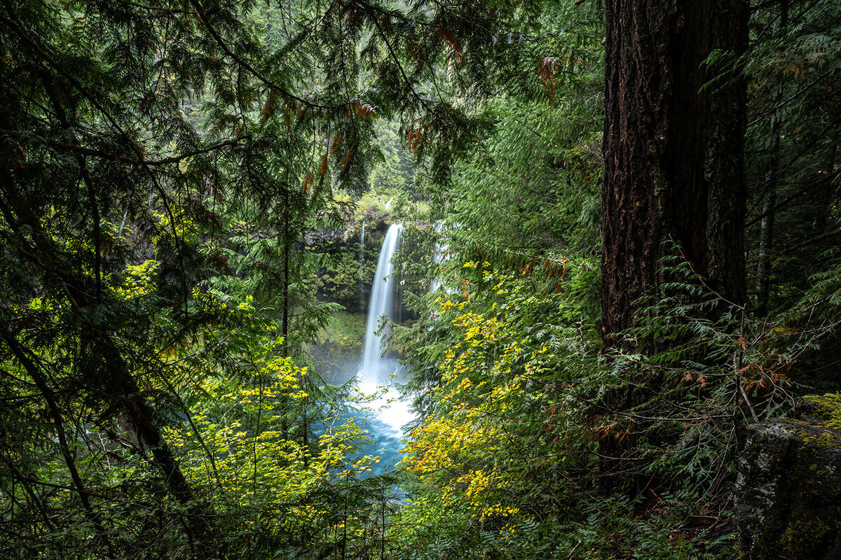 Rachael-Zimmerman-Photography-Denver-Colorado-Maui-Hawaii-LGBTQ-Adventure-Photographer-Landscape-98