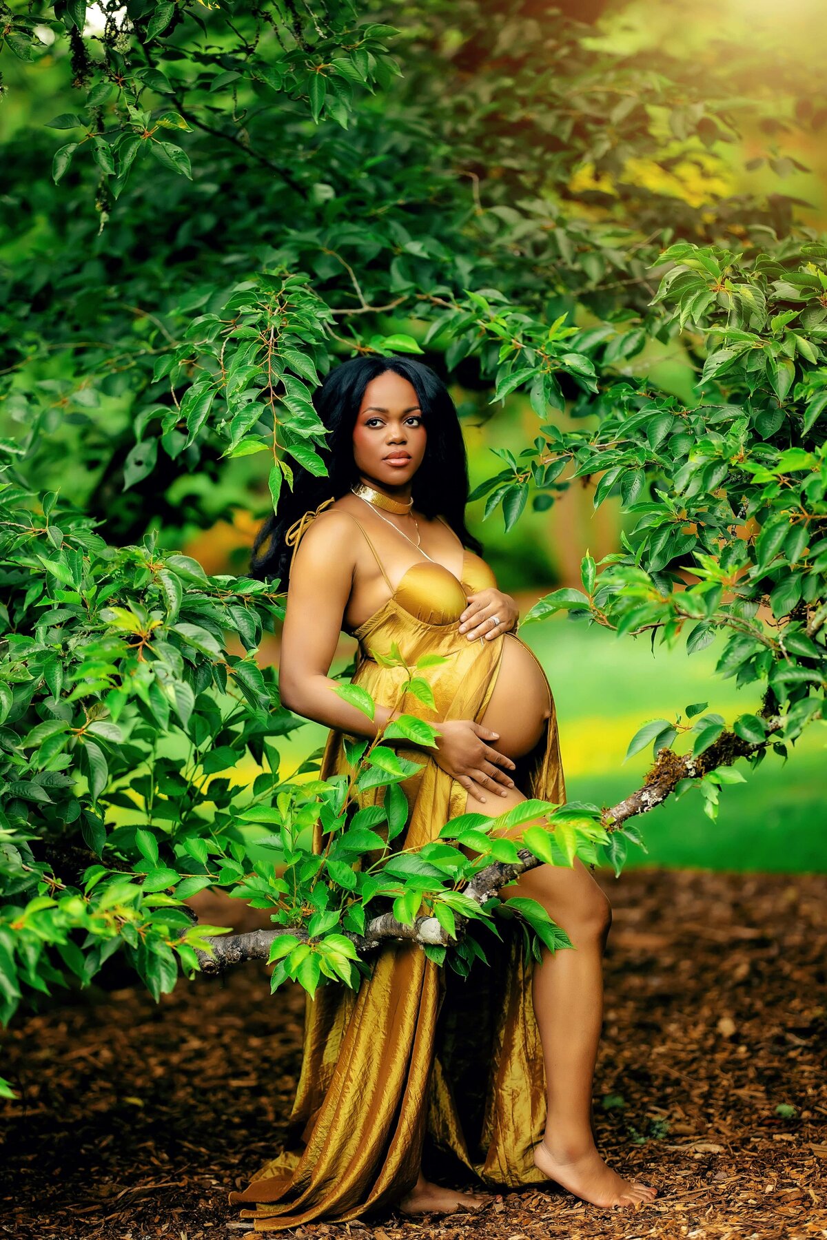 Chicago maternity client closet