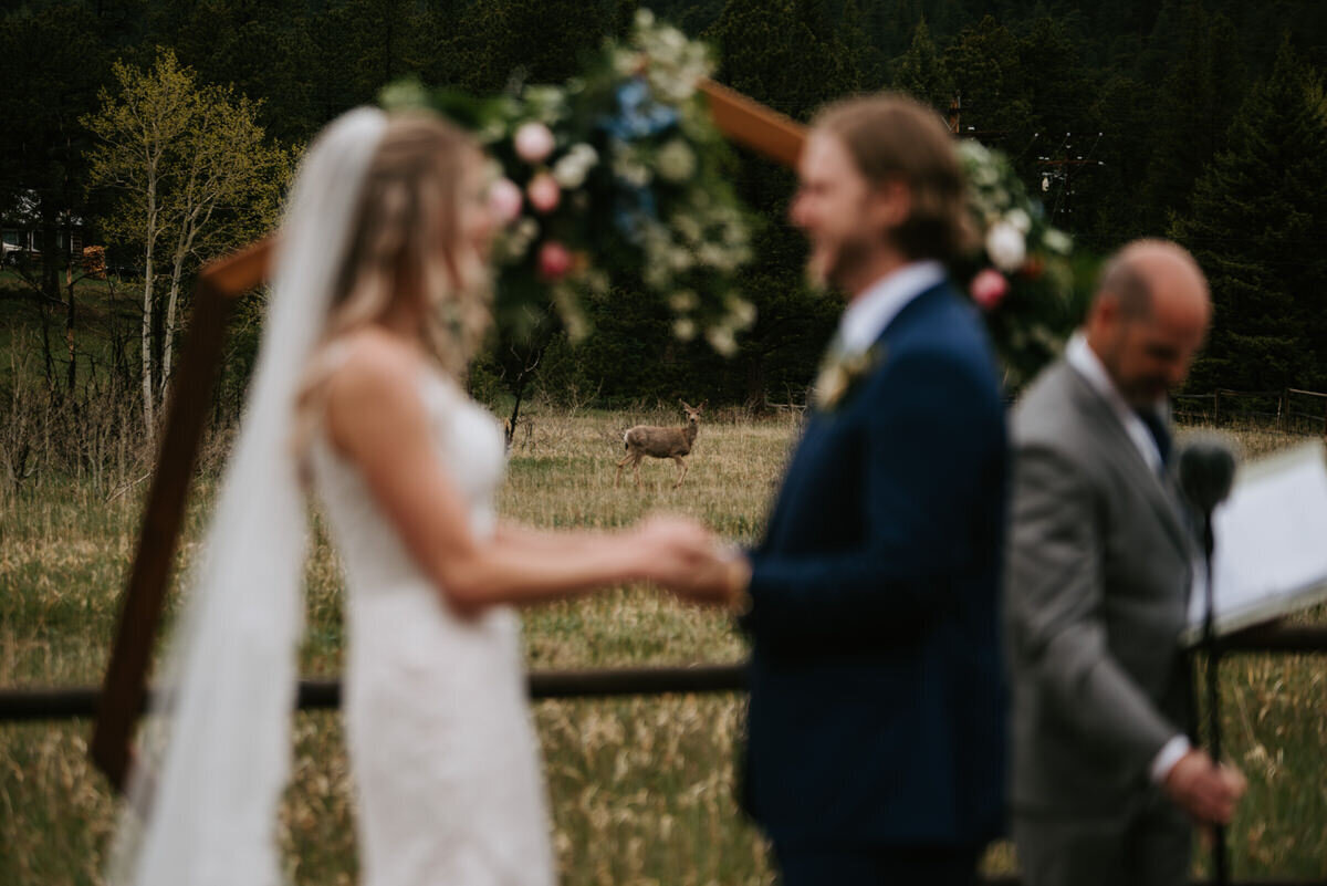 Sara + Lucas Sneak Peeks-51