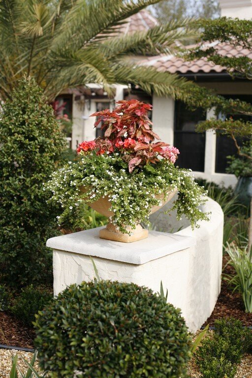 Renee-Clary-Home-Design-Construction-Consultation.jpg