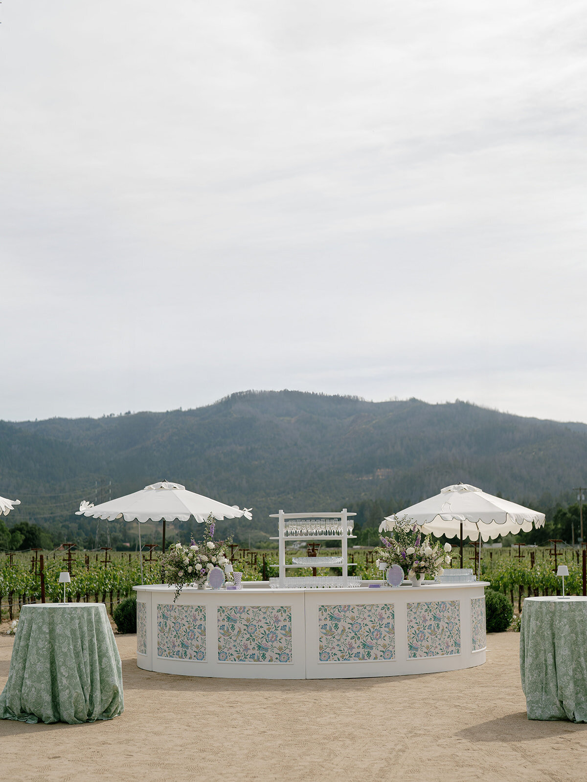 Treposti-welcome-party-elizabeth-warrick-3