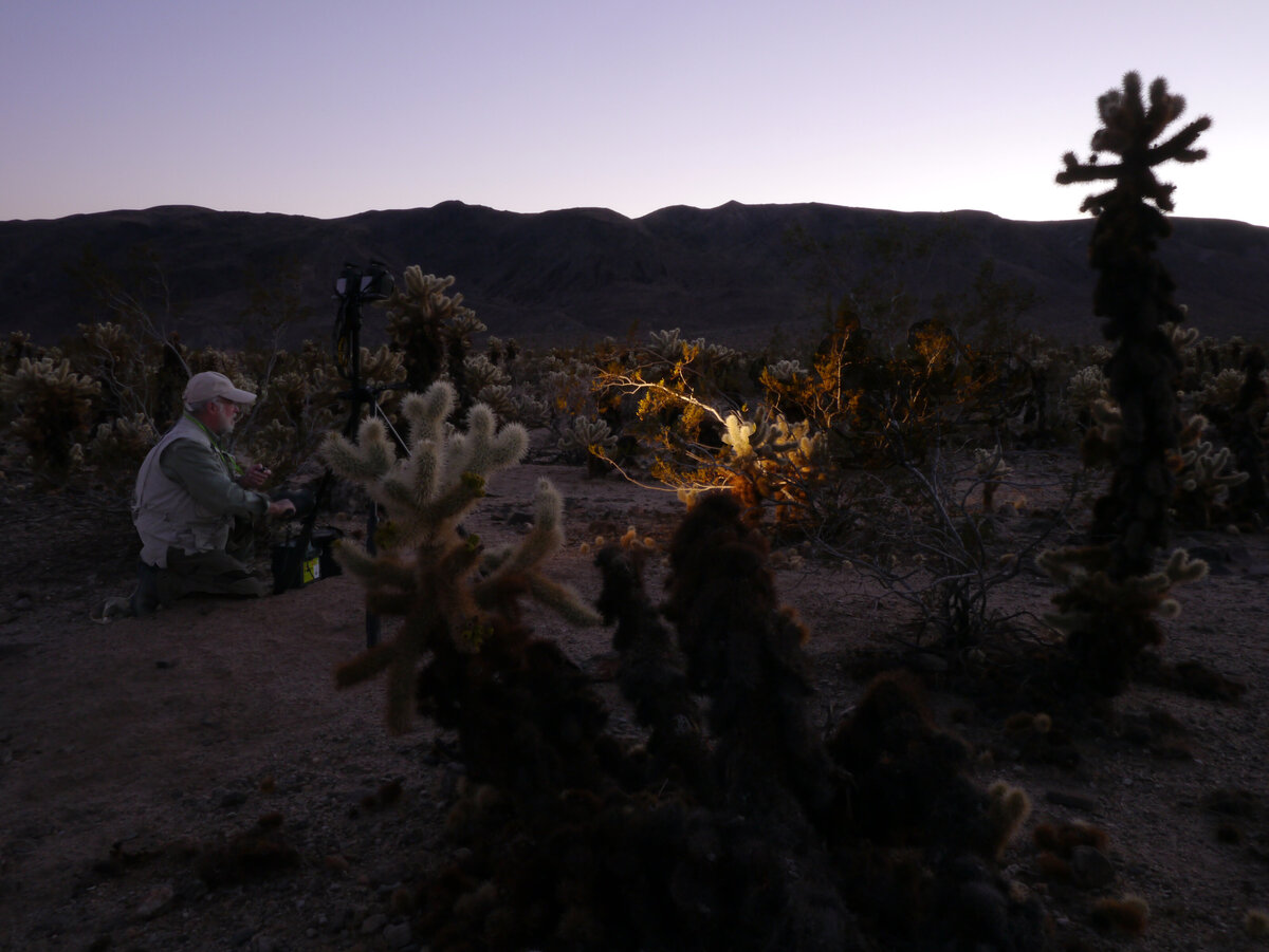 LM_LightPaint_3