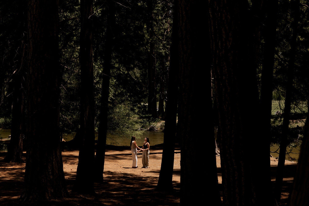playful-yosemite-engagement
