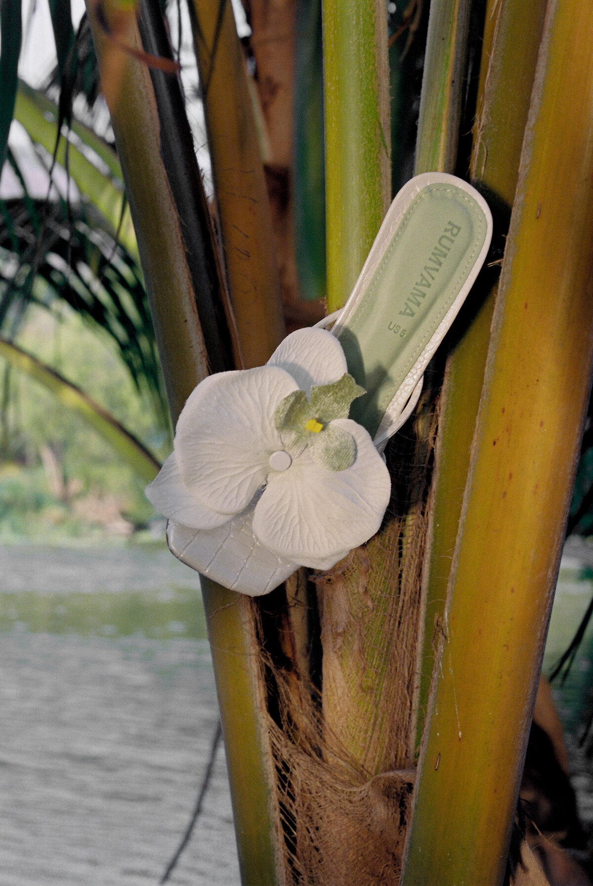 CollabCasaVenturaxNavivaxVmpineda-29